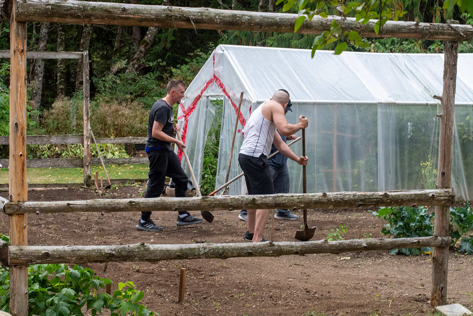 Men working together in a garden near a greenhouse, showcasing structured community recovery and building practical skills.
